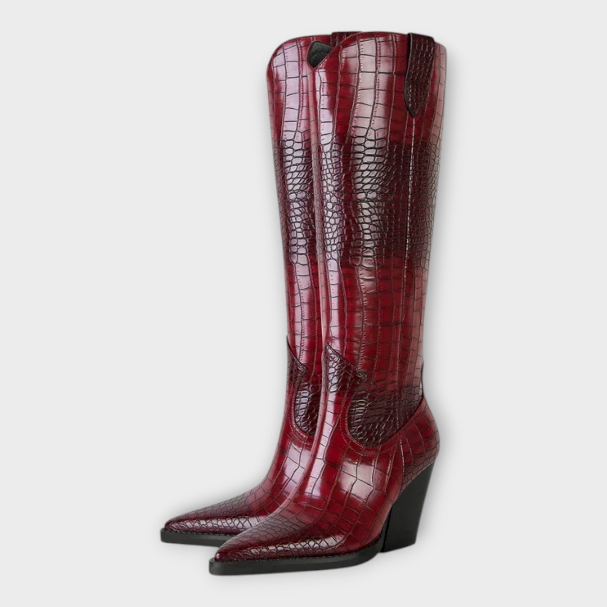 Dámské kozačky v elegantním stylu, na podpatku